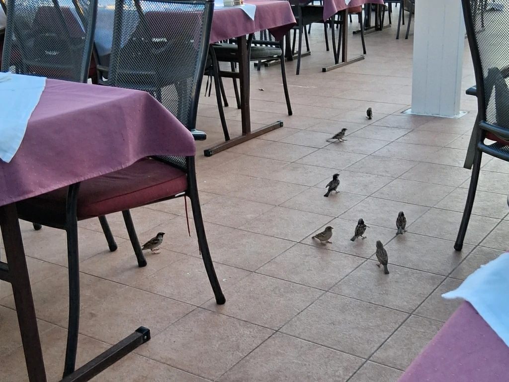  Uvecana slika i povratak nazad 